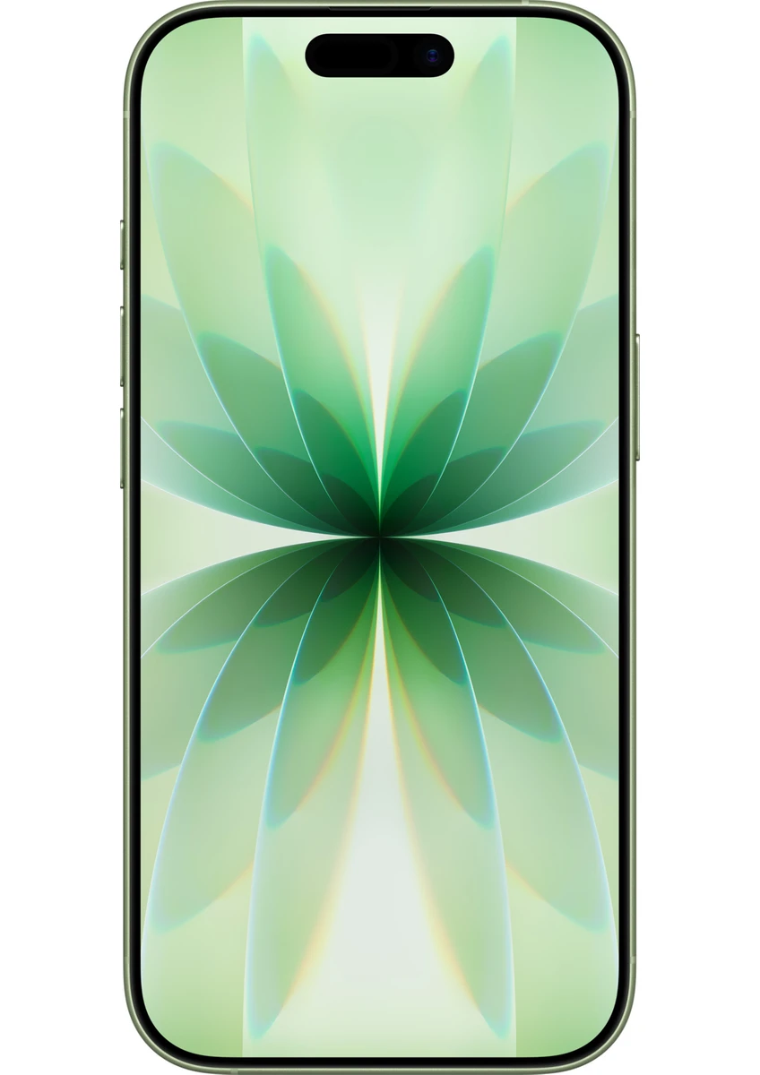 Apple iPhone 17 256 GB Ada Çayı - Görsel 2